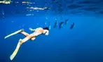 3-Hour Turtle Snorkeling Tour Deals on a 65 Foot Luxury Boat!