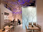 Enjoy $25 Worth of Japanese Cuisine in a Vibrant Setting