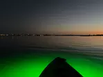 Sharkey's Glass Bottom Kayak Night Tour with Fish Feeding