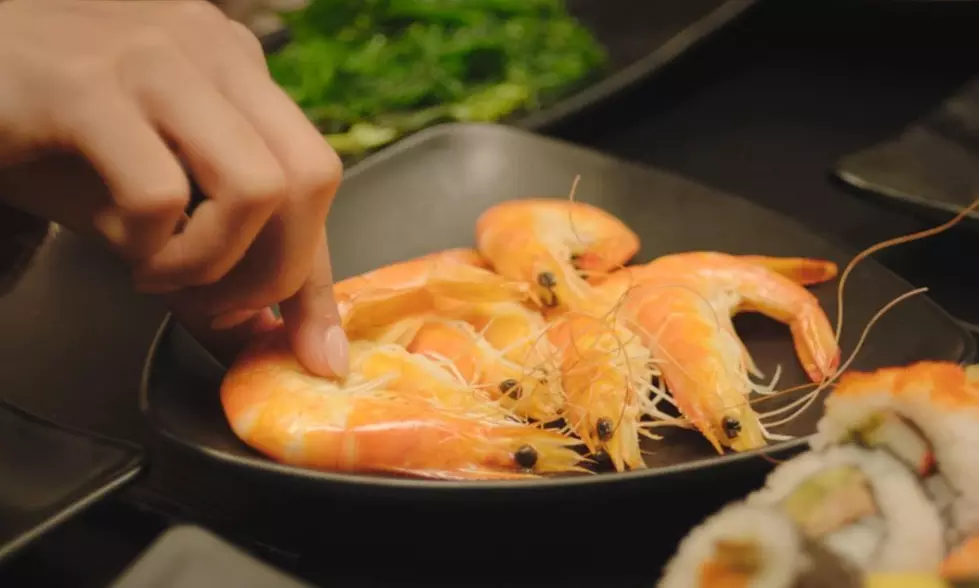 Okami Japanese Restaurant 15 Course Menu Sale