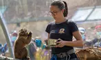 Entrées adulte et enfant au choix au Zoo Refuge La Tanière