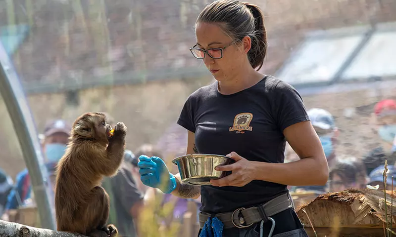 Entrées adulte et enfant au choix au Zoo Refuge La Tanière