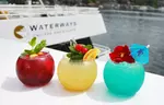Scenic Seattle Cruise Options with Stunning Views