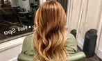 Haircut, Deep Condition & Blowdry with Highlights or Balayage