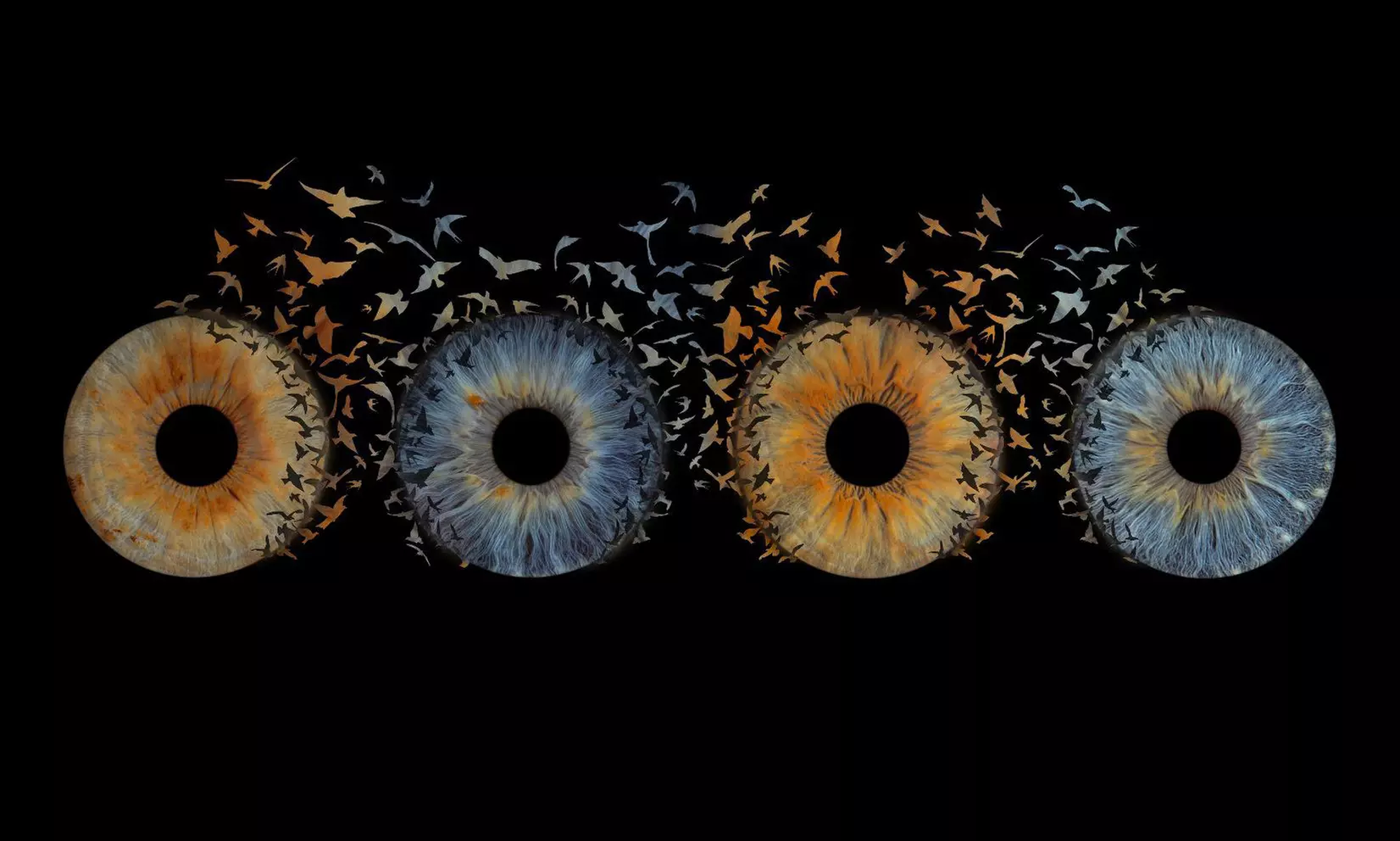 Iris-Fotoshooting opt. mit Effekt für 1 - 4 Personen