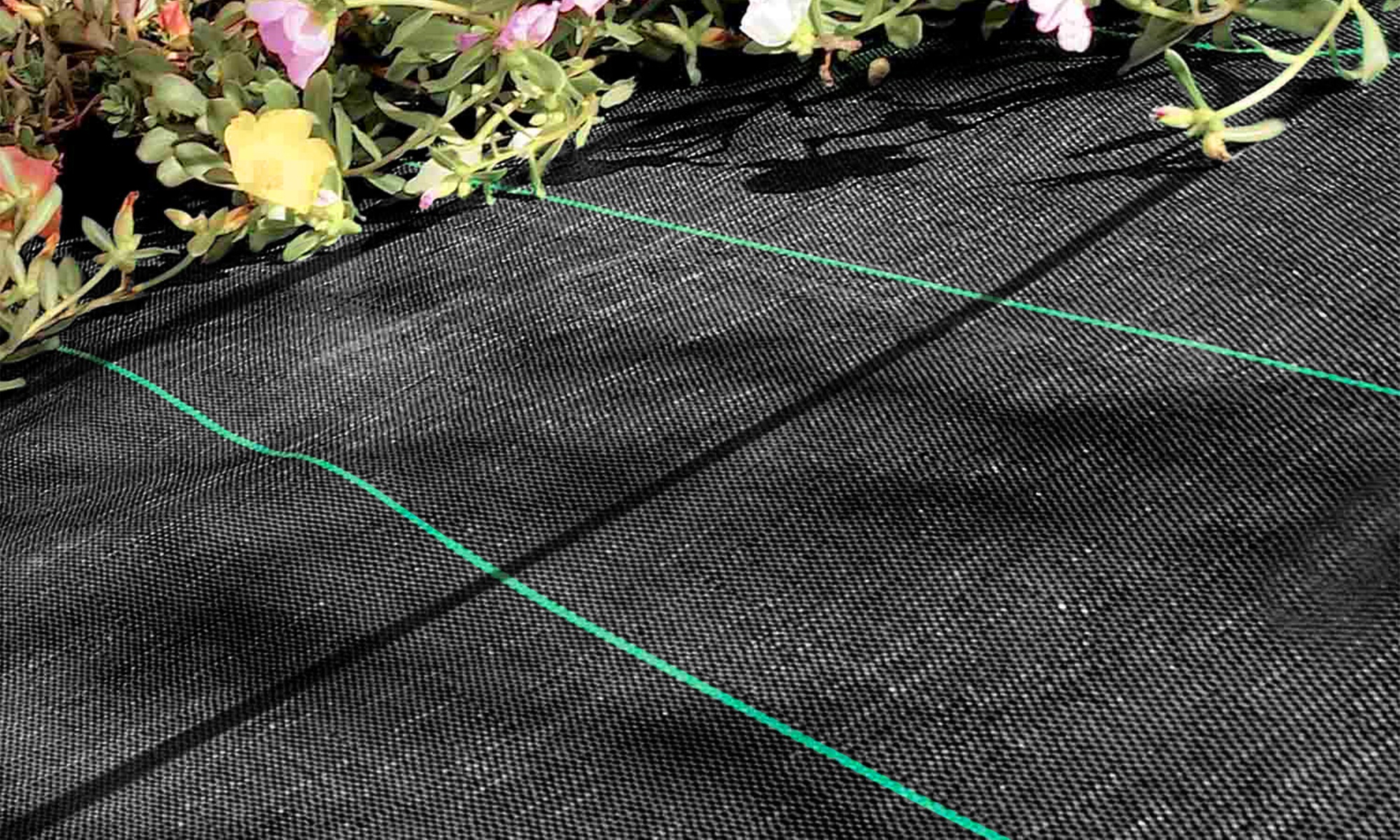 Telo da pacciamatura