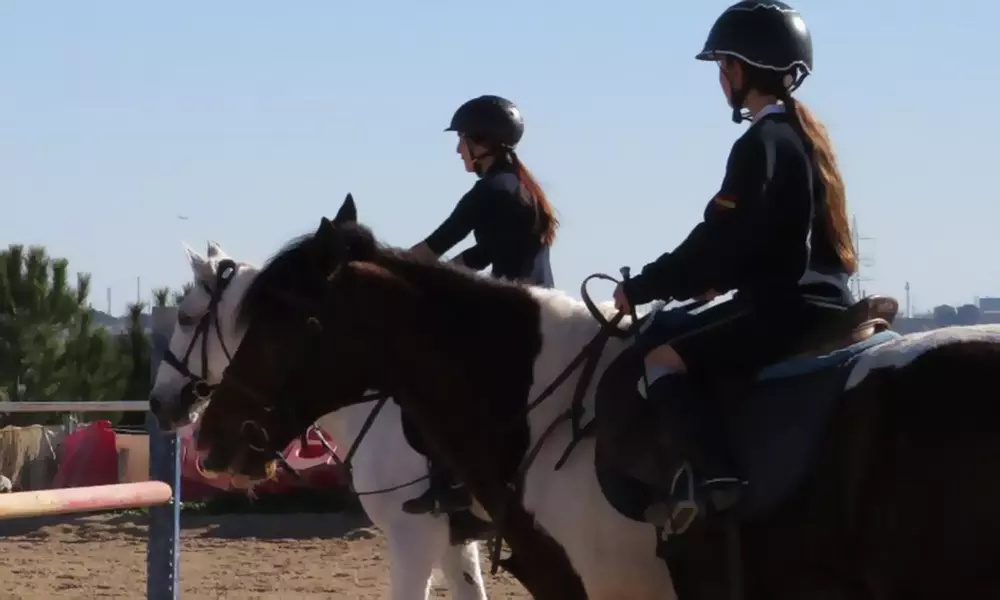 5 o 10 clases de equitación de 50 minutos para todos los niveles