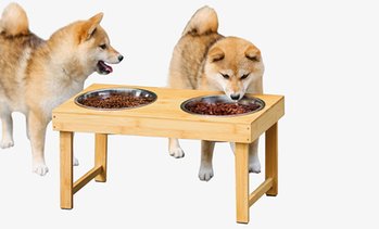Raised Bamboo Pet Feeder