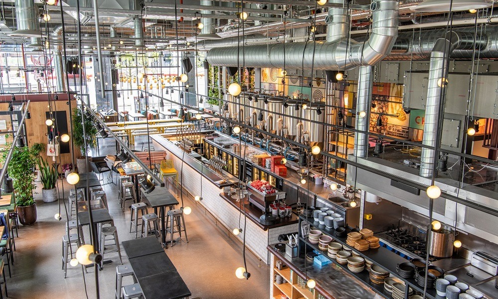 Any Burger and 1/2 Pint For One, Two or Four