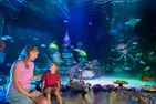 LIMITED TIME OFFER! LEGOLAND Florida Ticket Deals