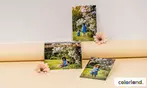 Tirage de 20 à 400 photos, format au choix, avec Colorland