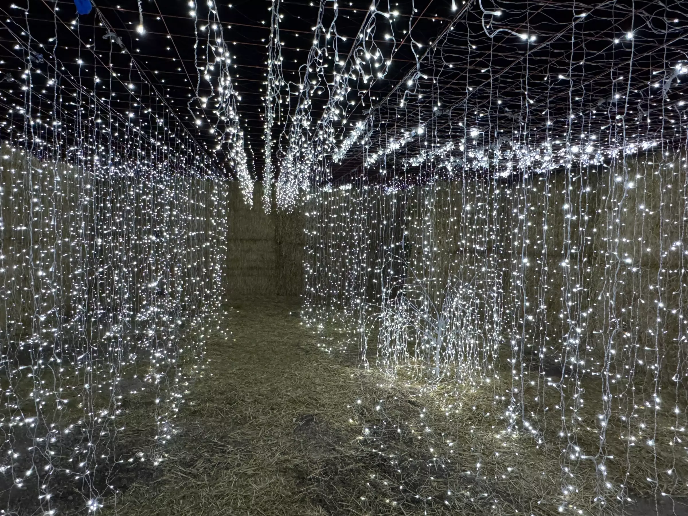 Lost in Christmas Admission to Shindig Farms