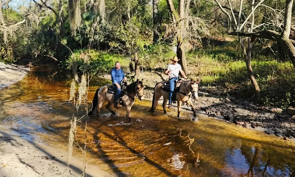 Horseback Riding & Swimming with Horses at In The Breeze Ranch