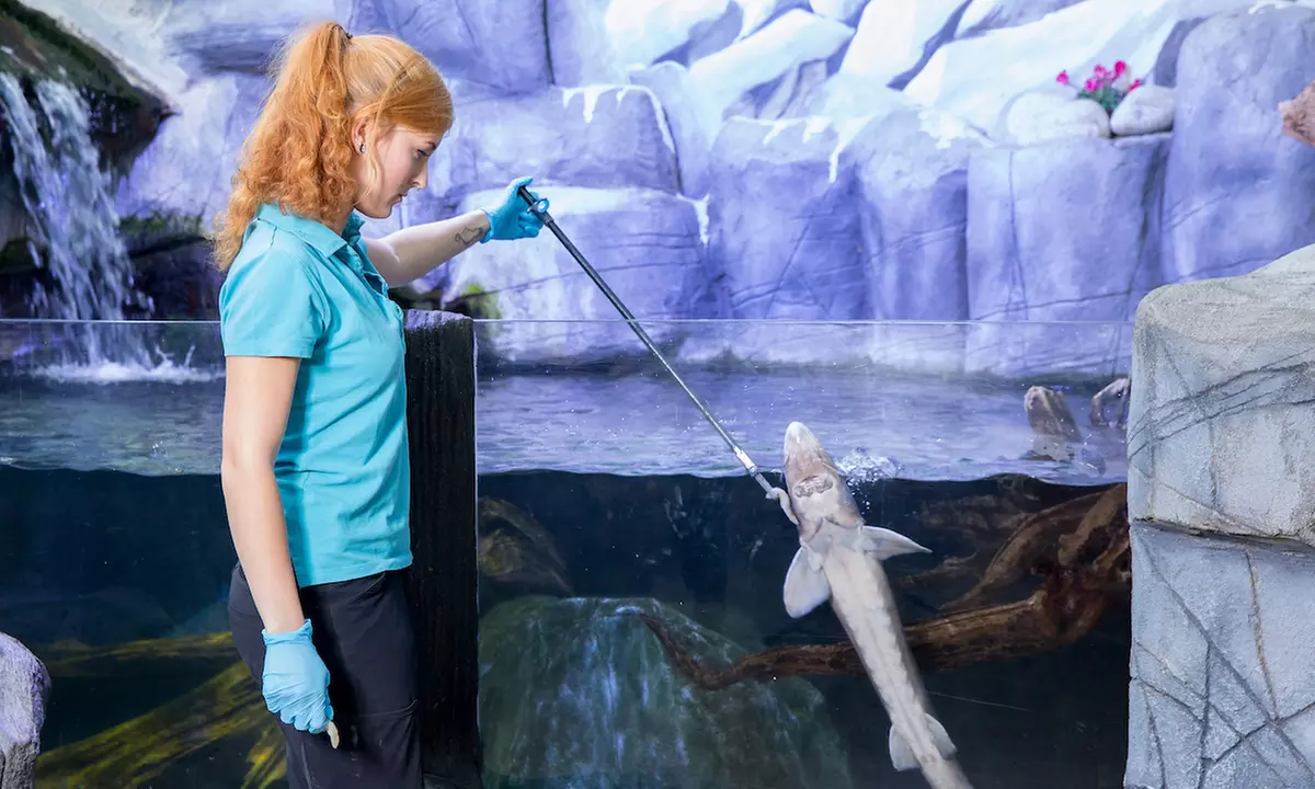 Ticket: SEA LIFE Oberhausen