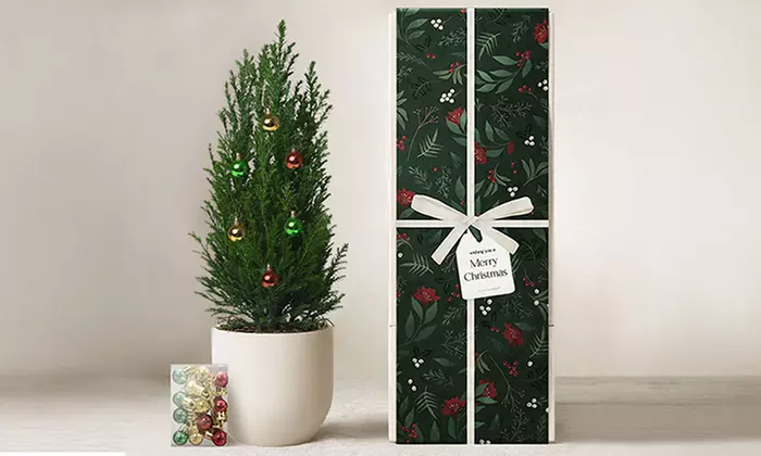 Christmas Décor & Plant Gifts FTD.com Same-Day Delivery Up to 50% Off