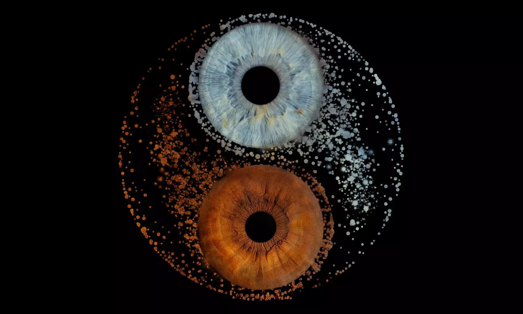 Iris-Fotoshooting opt. mit Effekt für 1 - 4 Personen