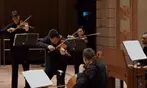 Ticket für „VIVALDI – Die Vier Jahreszeiten“