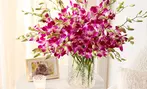 1-800-Flowers.com Sympathy Deal: Save Up to 50% on Flowers and Remembrance Gifts