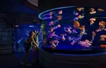 Shark Reef Aquarium and Undersea Explorer VR Experience - Mandalay Bay