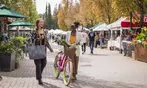 30% Off Vancouver to Whistler & Sea to Sky Gondola Day Tour