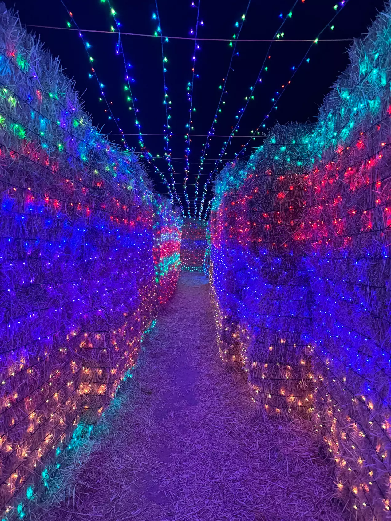 Lost in Christmas Admission to Shindig Farms