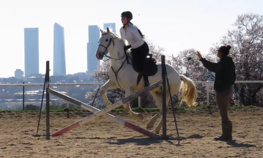 5 o 10 clases de equitación de 50 minutos para todos los niveles