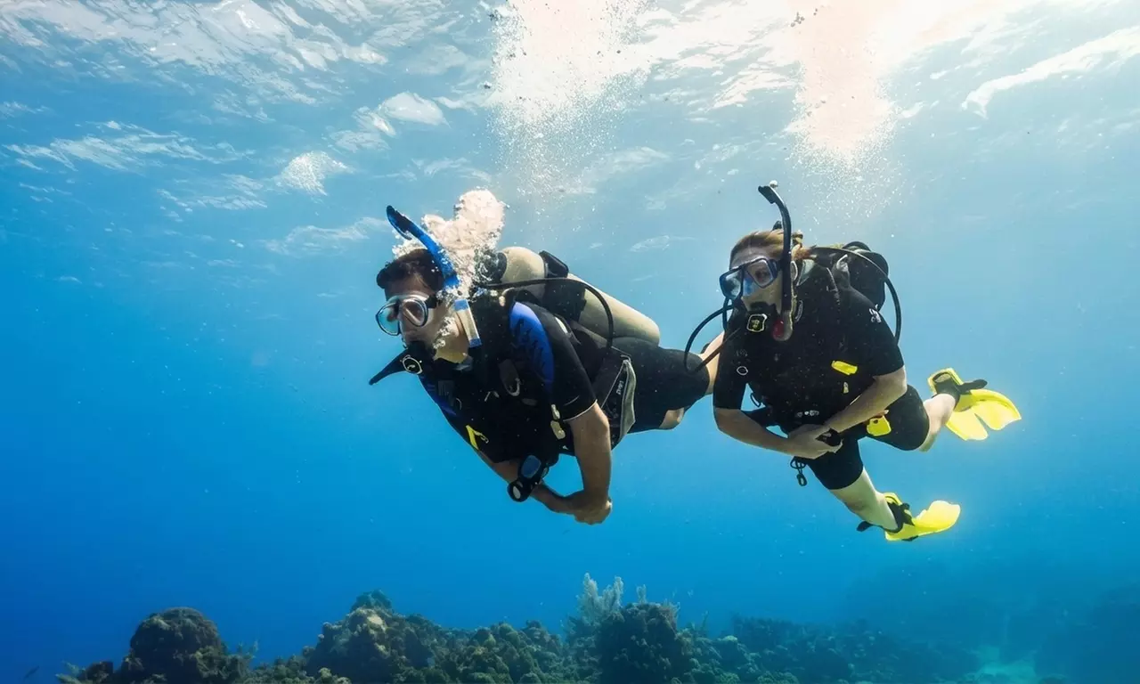 Basic Try Dive Including Equipment or Scuba Diving for One or Two