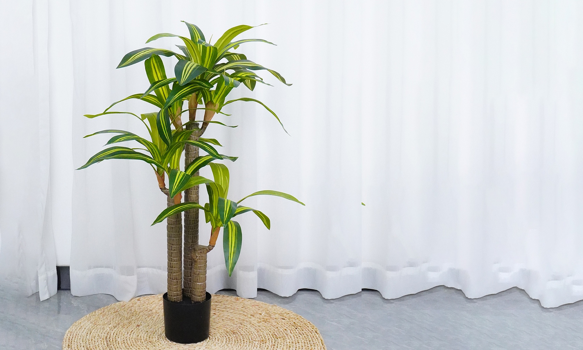 Collezione di piante finte da interno