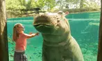 END OF SUMMER SALE! Busch Gardens Tampa Ticket Deals - Save Up to 62%