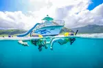 Oahu Dolphin & Snorkel Adventure with Waterslide, Lunch & Hula