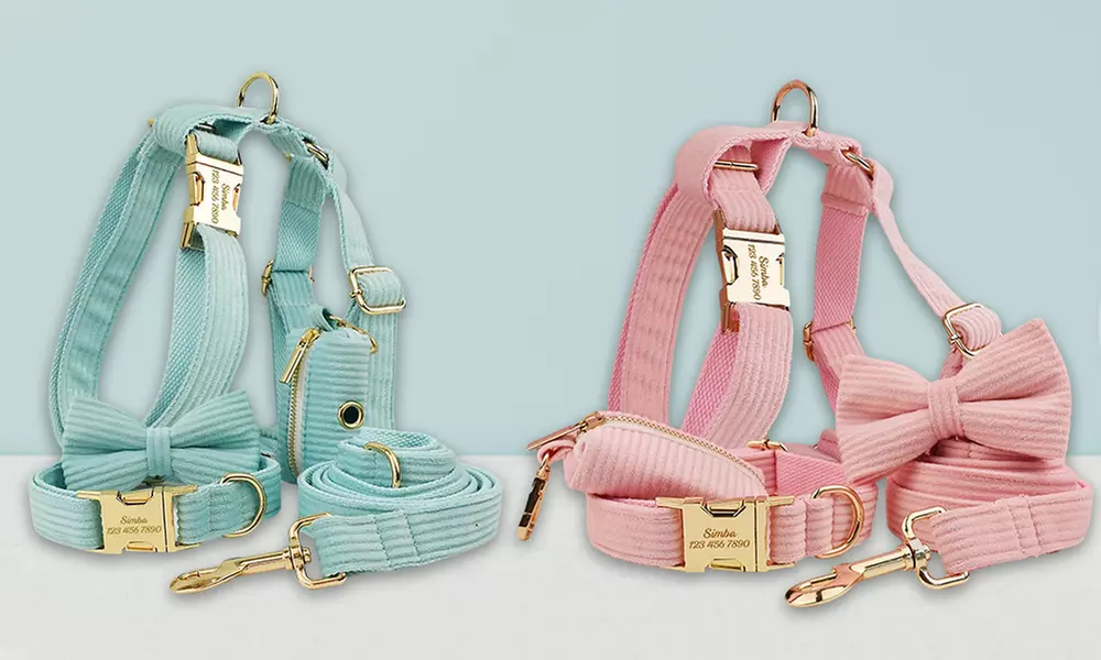 Personalisierbares Haustier-Halsband mit integriertem Namensschild