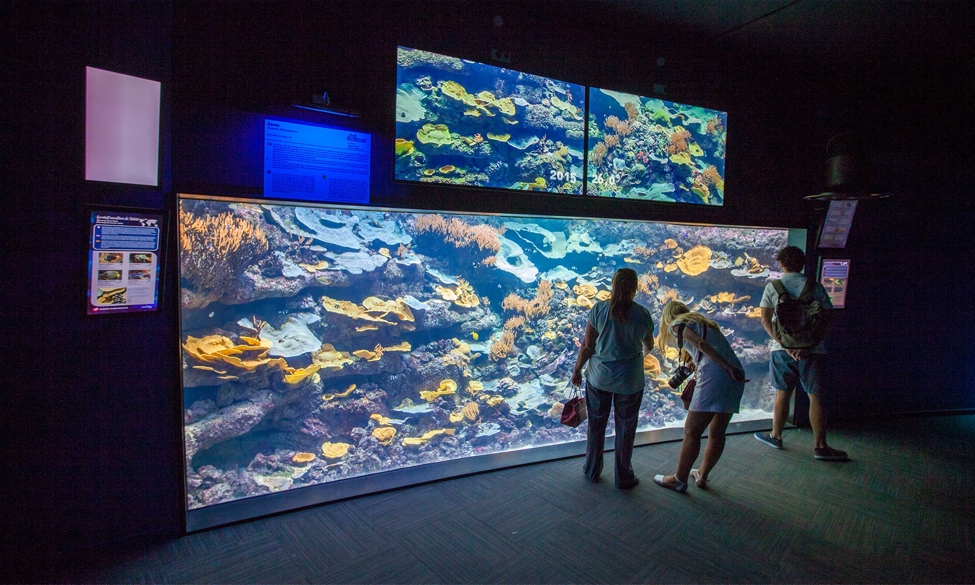 Aquarium de Paris : la richesse du monde sous-marin tout l'année