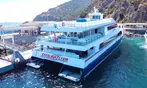FLASH SALE: Catalina Island Ferry Ticket Deals & Discounts