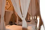 Luxury Head Spa Packages for One, Couples, or Groups of 4