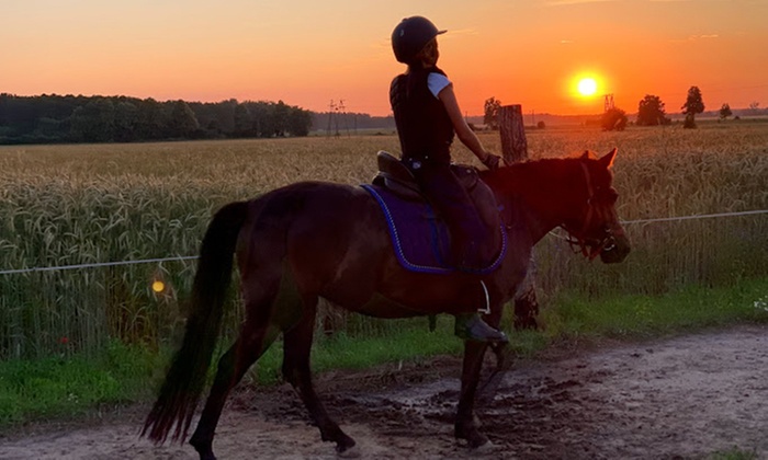 Jazda konna: na lonży lub zajęcia indywidualne w KajaKing