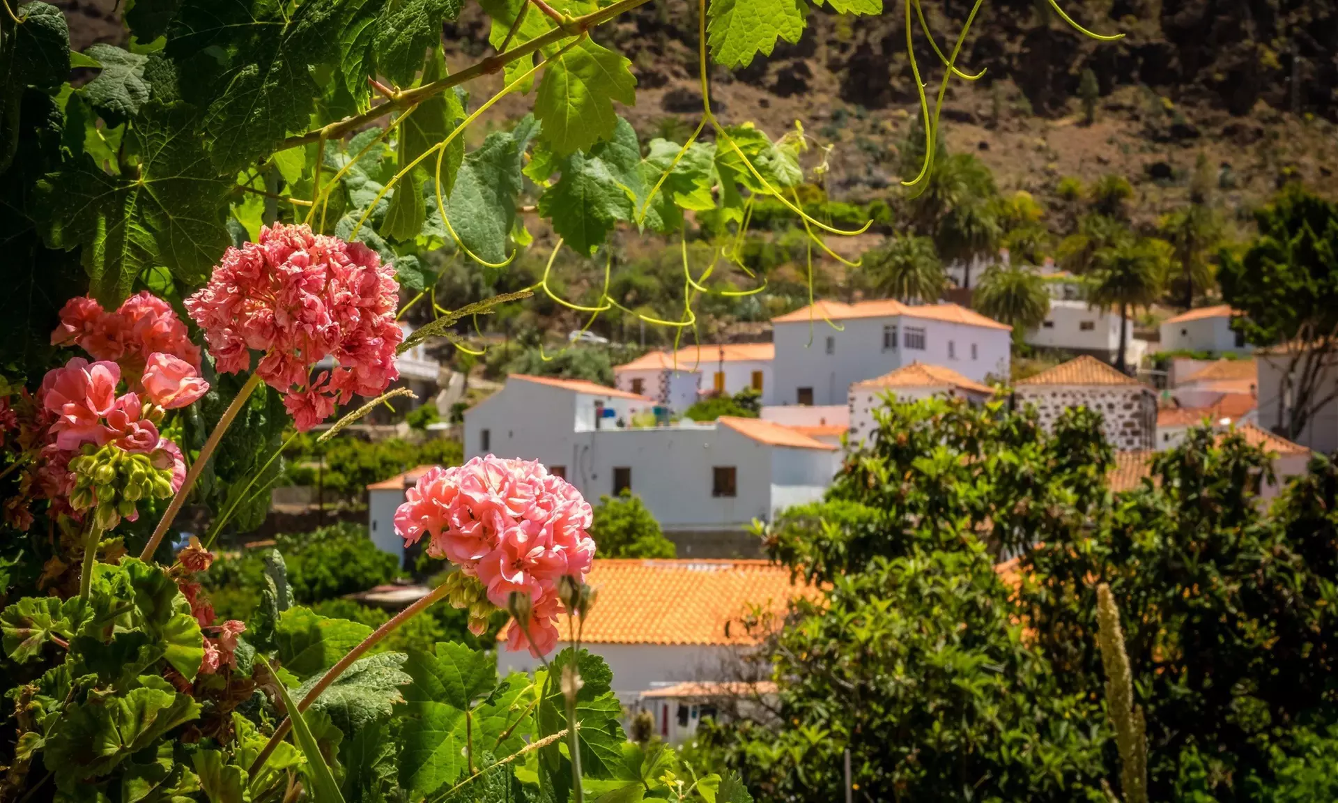 ✈ 8-Day Gran Canaria Road Trip: Atlantic Tropics - w/ Air, Stay & Car