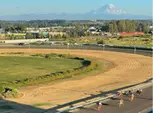 Horse Racing at Emerald Downs - Up to 41% Off