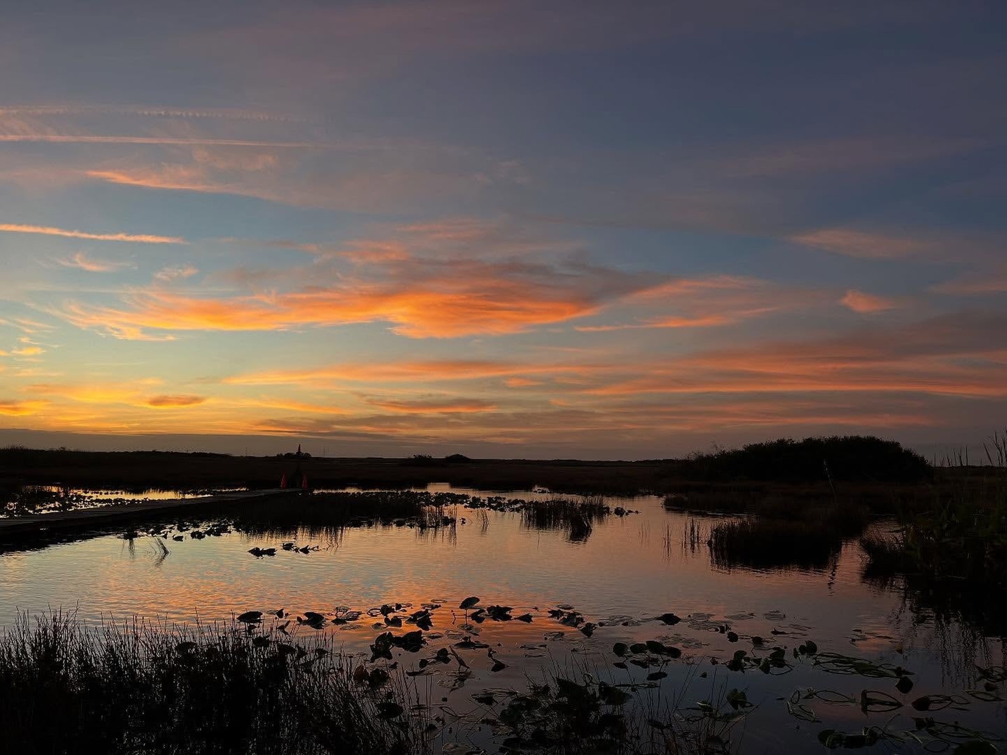 Everglades Airboat Tour & Cultural Experience