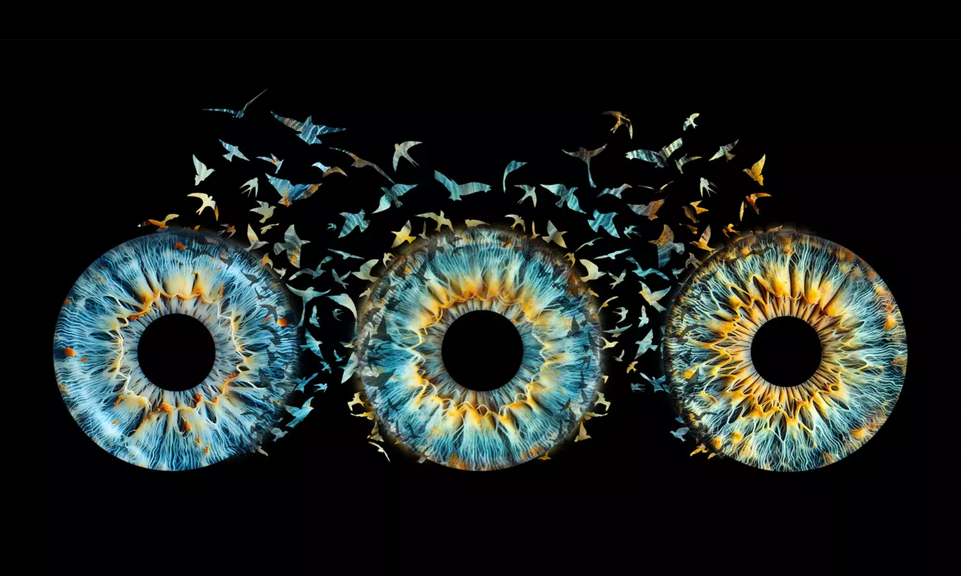 Iris-Fotografie: Datei, Poster, Canvas, Halskette oder Whiskey-Spender