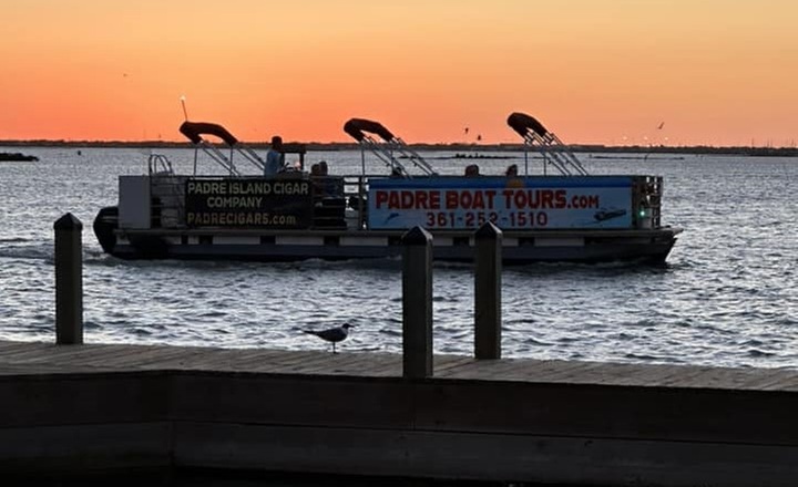 Dolphin & Island Eco-Adventure Cruise – Corpus Christi