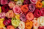 Rose Farmers All-In-One Deal: Farmer's Choice Roses with Vase & Shipping Included Up to 48% Off