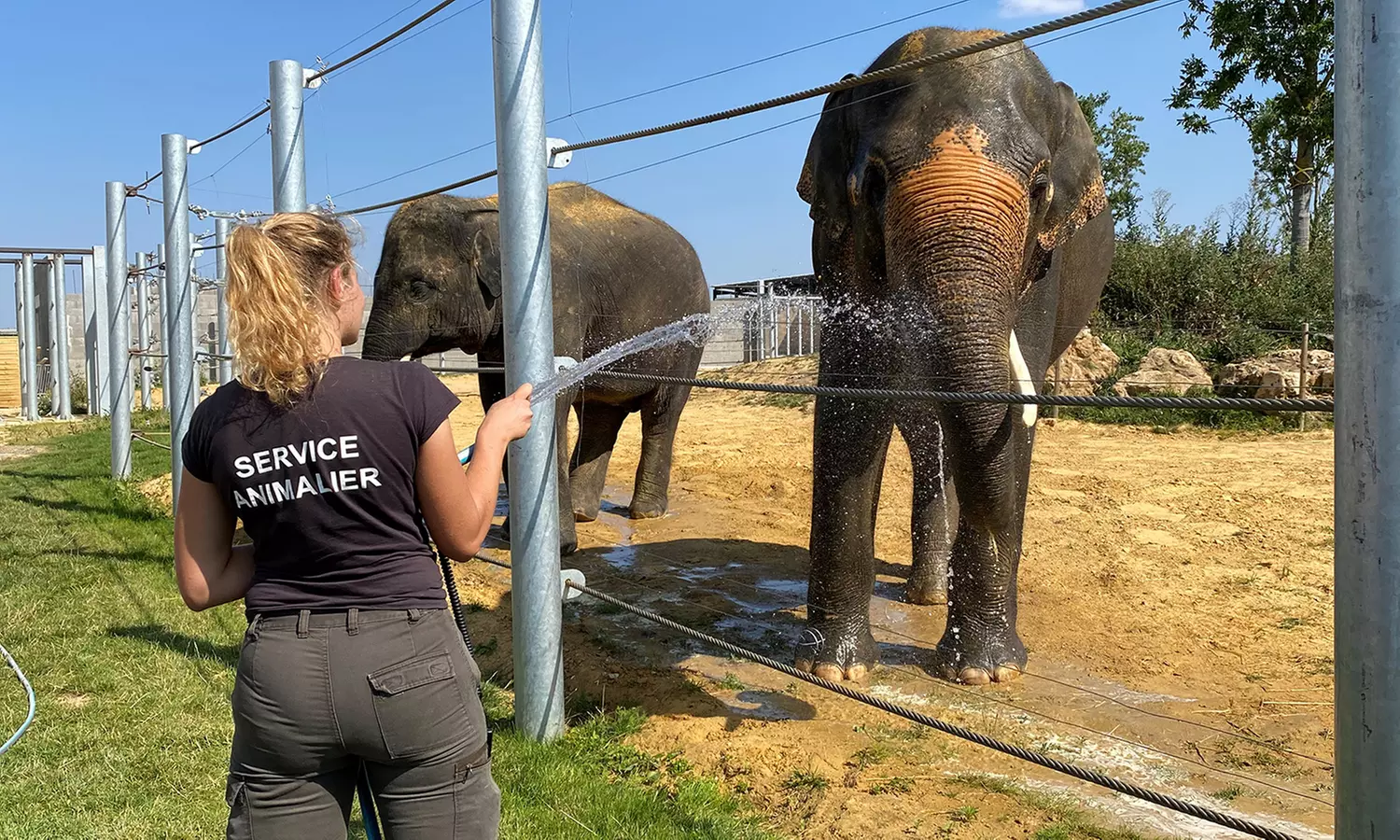 Entrées adulte et enfant au choix au Zoo Refuge La Tanière