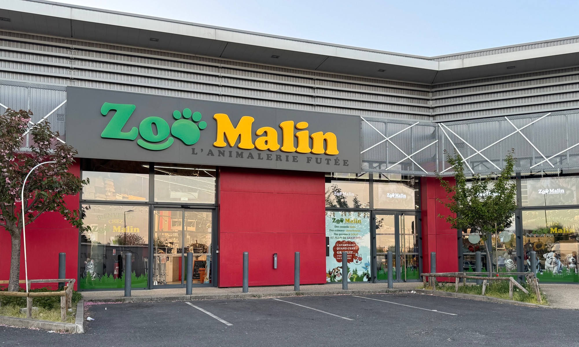 Lavage chiens simple ou en duo chez ZooMalin