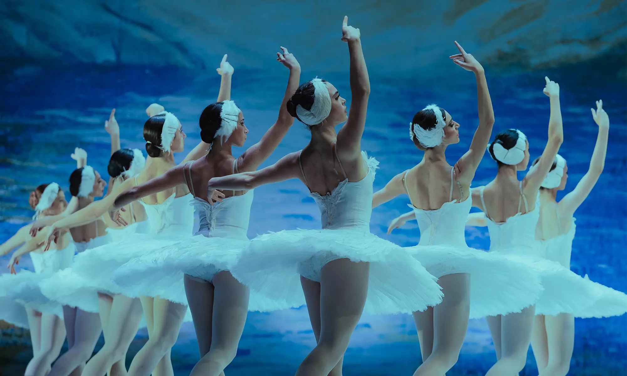 „Swan Lake – Beyond the Stage“: Ticket vom 06.03. bis 30.05.2026