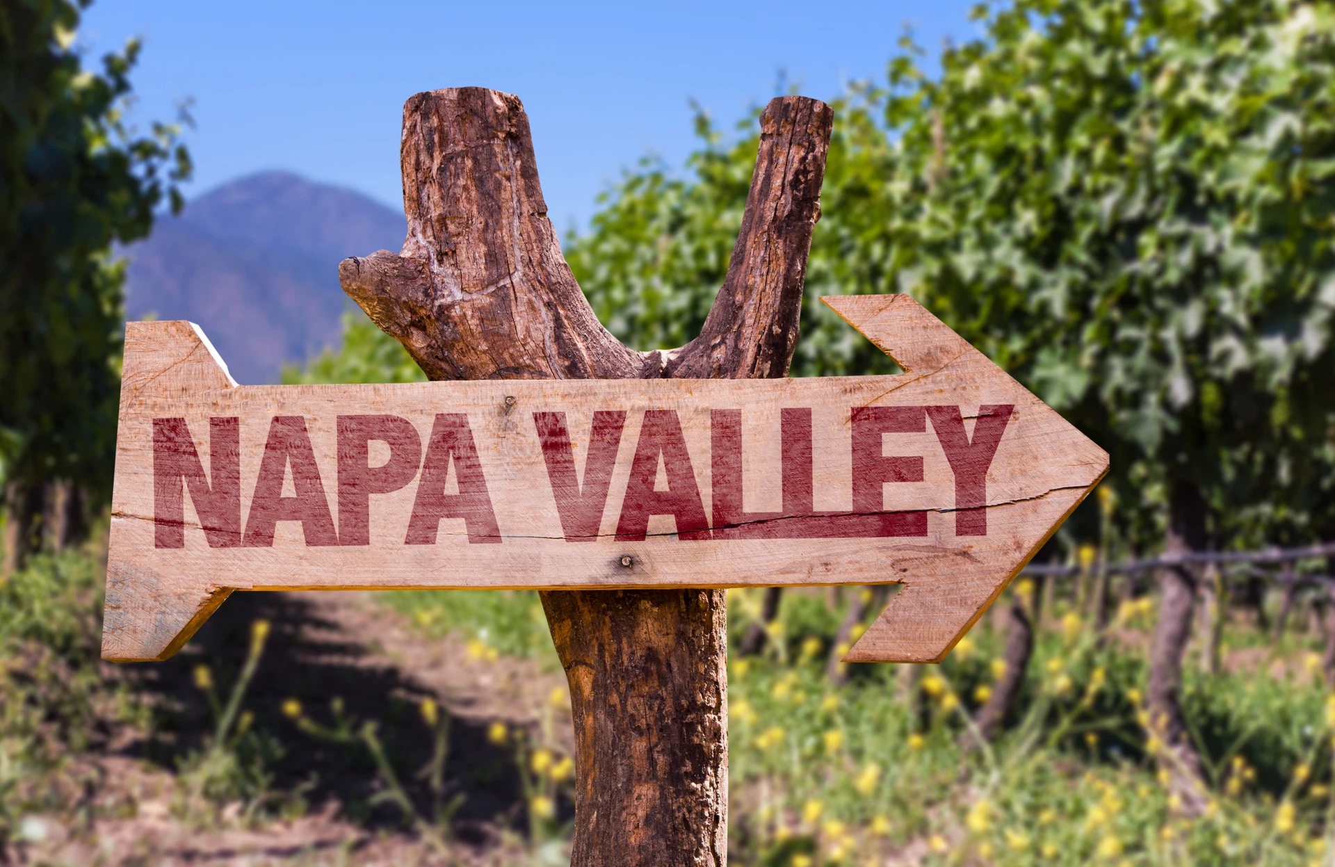 ✈ San Francisco & Napa Valley-4 Days w/ Air, Car & Hotel from Worldee