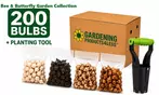 Flower Bulb Collections: Bleeding Hearts, Baby's Breath, Gladiolus, Bee & Butterfly Garden