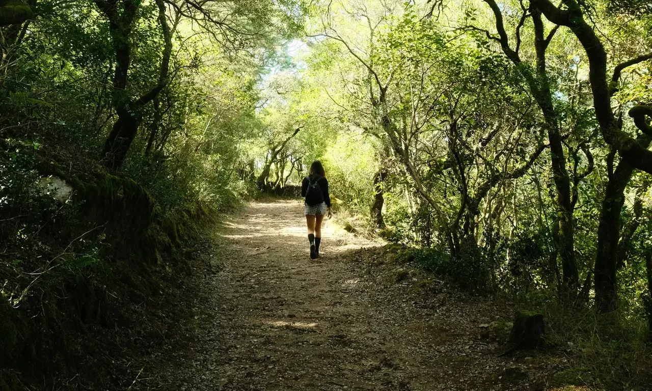 ✈ 6-Day Portugal Wine & Food RoadTrip w/ Air, Car & Hotel from Worldee