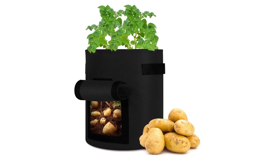 Ou Sacs Ou Pots De Culture Pour L Gumes Fleurs Ou Herbes Groupon