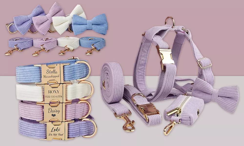 Personalisierbares Haustier-Halsband mit integriertem Namensschild