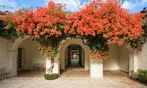 Honolulu Museum of Art Admission: Oahu's Premier Cultural Hub